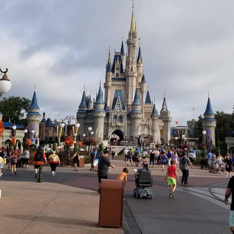 Day Trip to Disney World