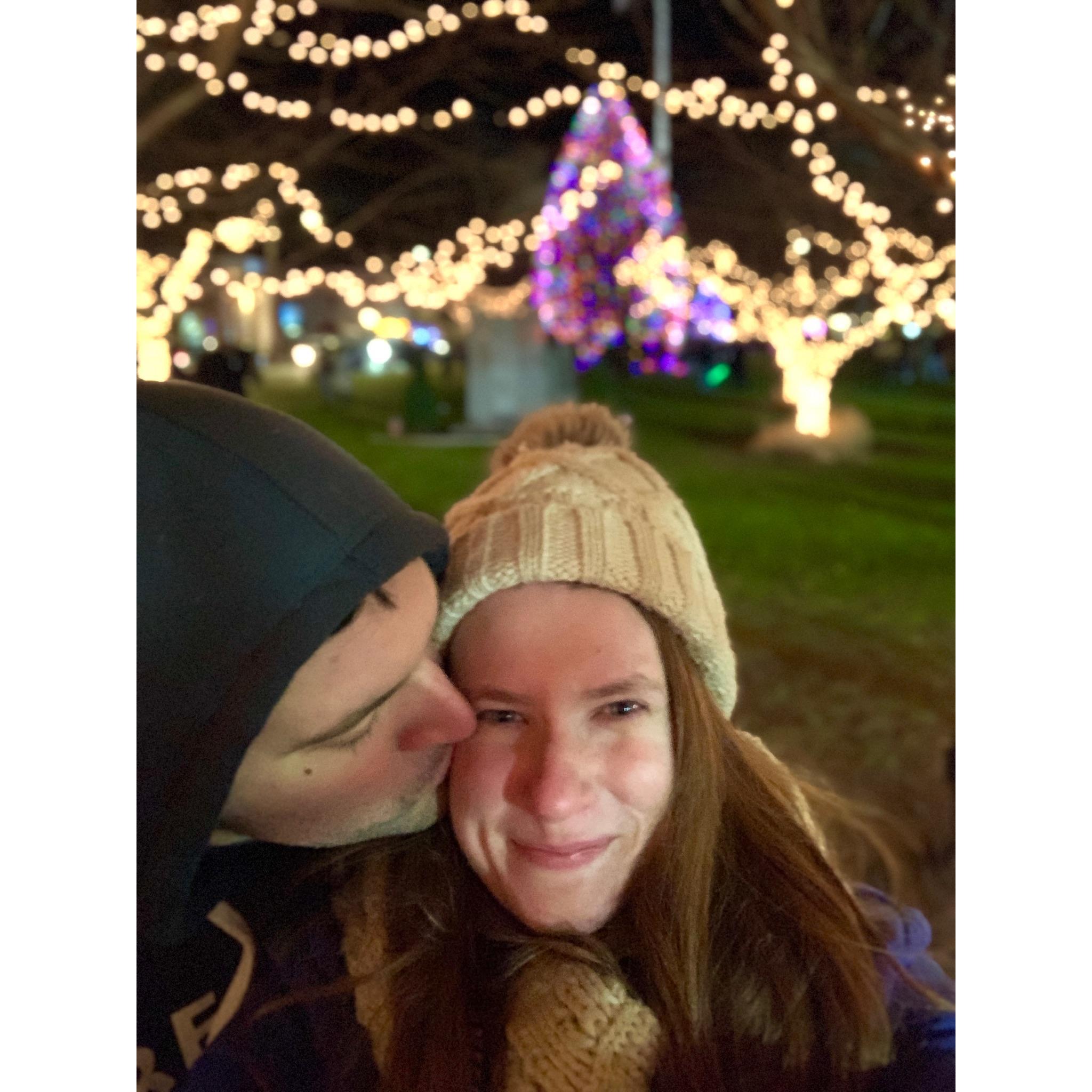 Milford tree lighting!