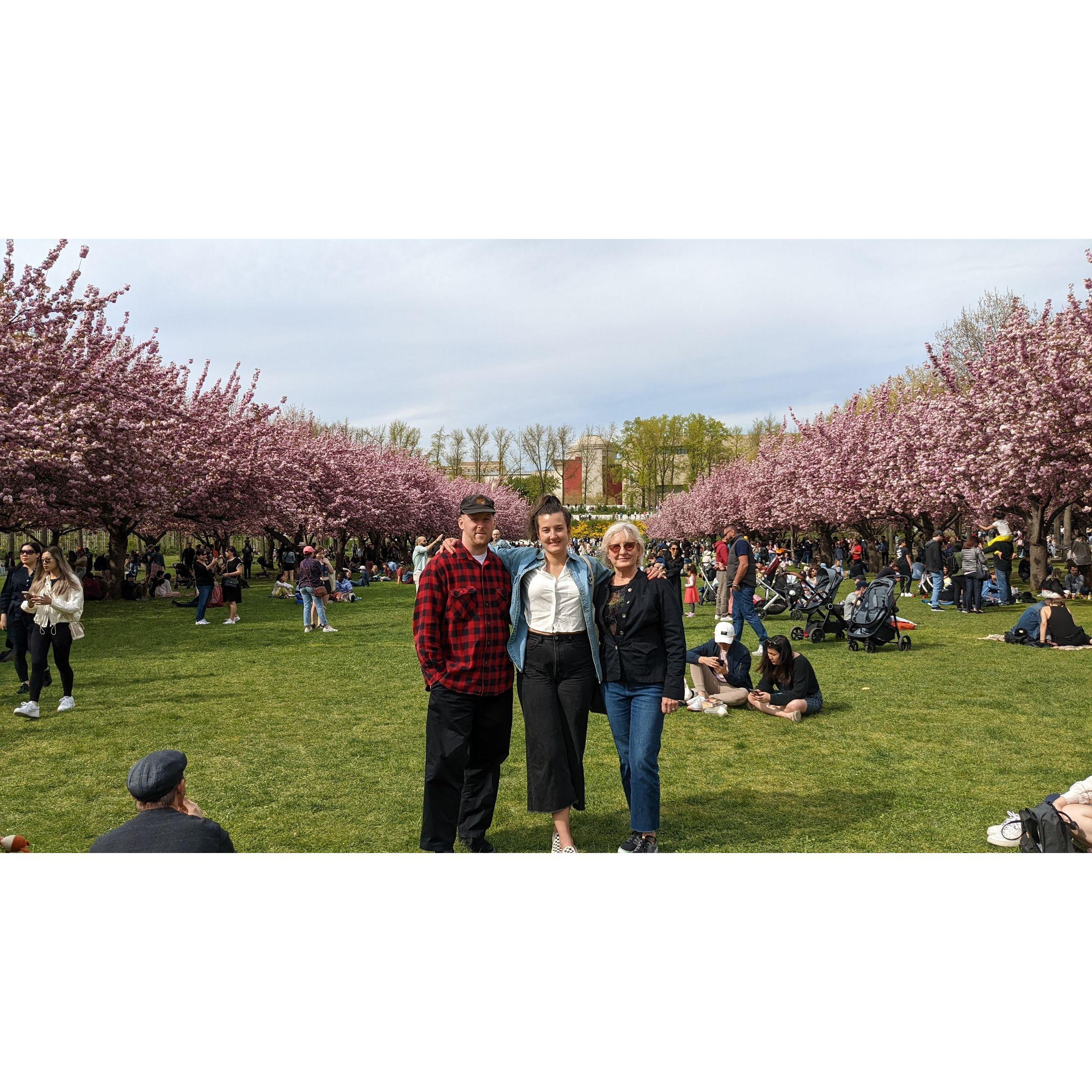 Brooklyn Botanic Garden, April 2022