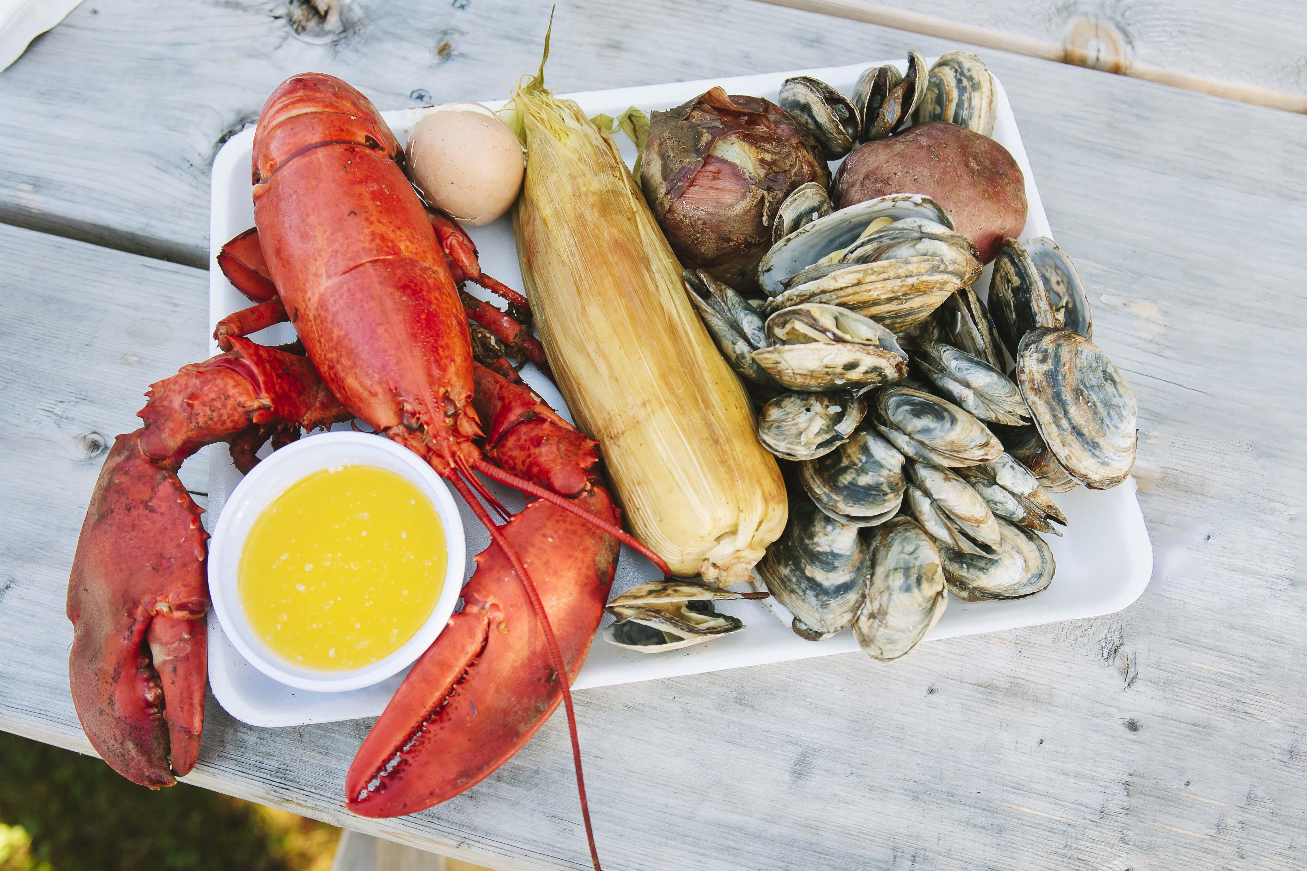 The Wedding Website of Stephanie DiMaio and Chad Winowich