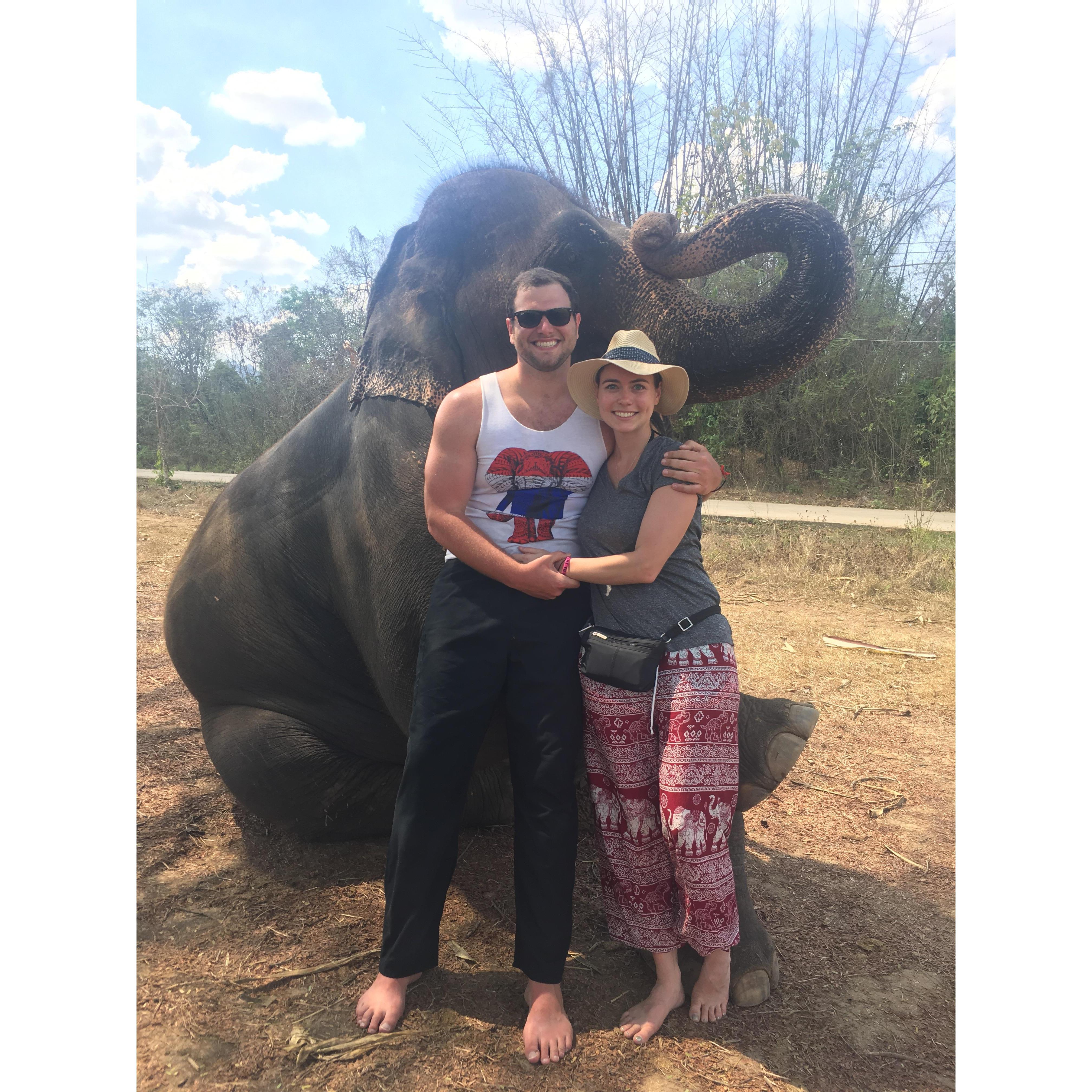 Elephant friends of Thailand
