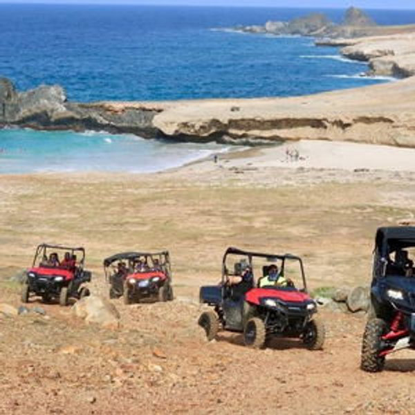 ATV Island Adventure