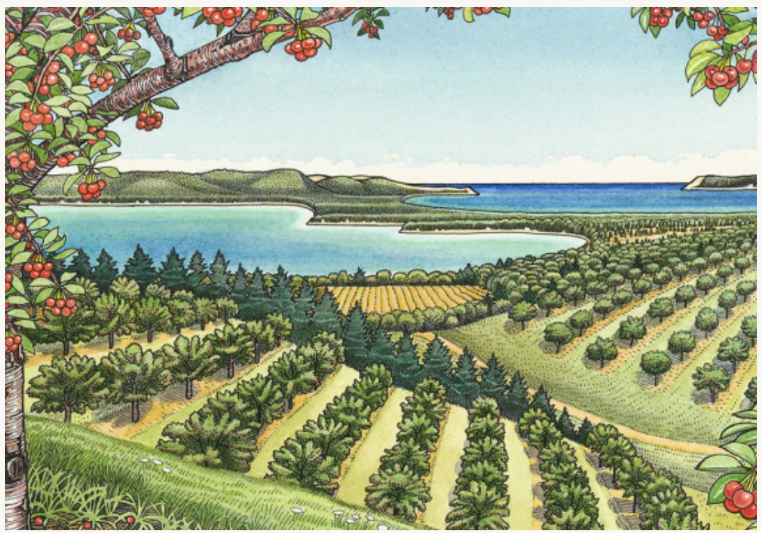 The Wedding Website of Ryan Appleby and Lillian Jeynes