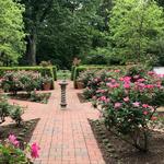 The Frelinghuysen Arboretum