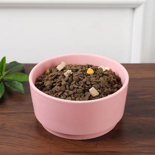 Casa Pet Bowl