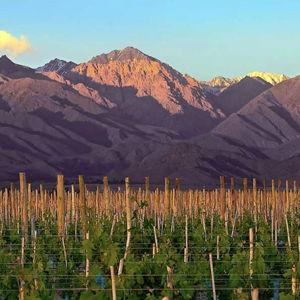 Uco Valley Wine Tour