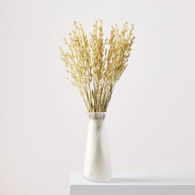 Dried Avena
