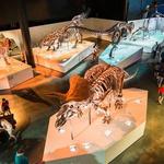 Houston Museum of Natural Science