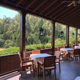 The Hidden Oak Café