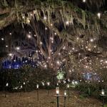 Brookgreen Gardens