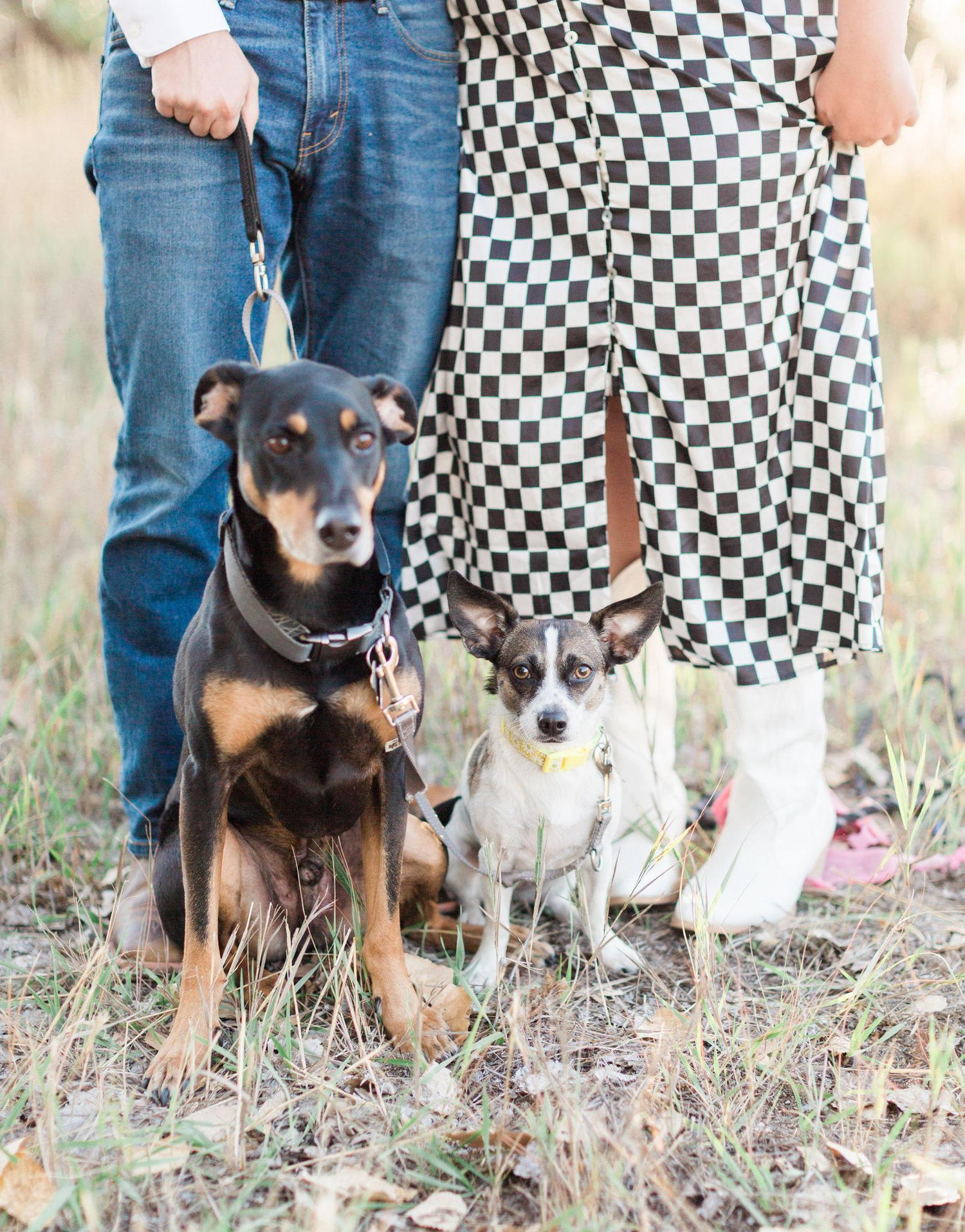 The Wedding Website of Alexandria Banning and Bryant Brewster