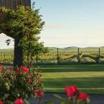 Abeja Winery
