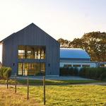 Kingdom of the Hawk Vineyard