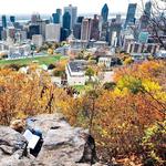 Mount Royal