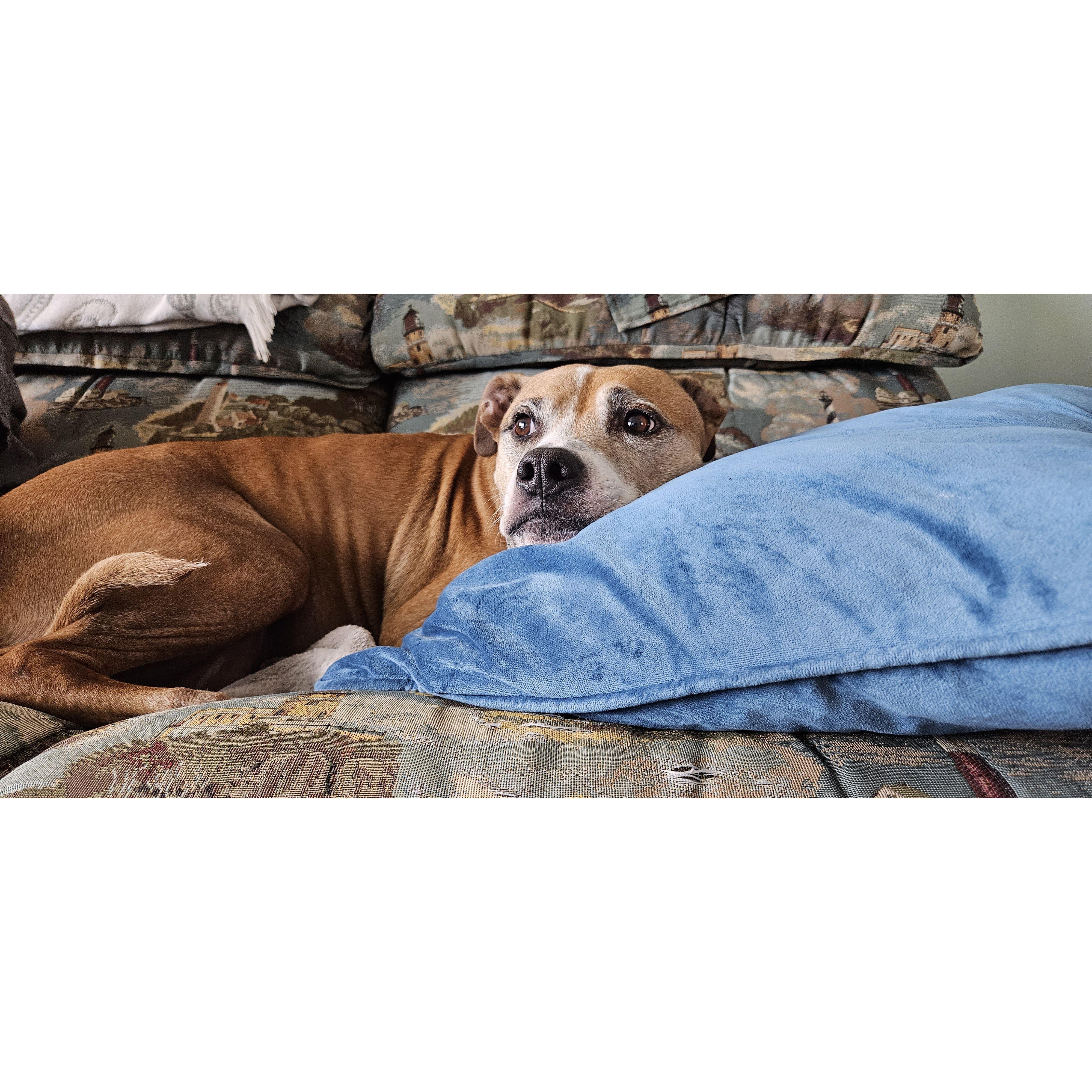 Our pretty girl Rousey