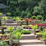 Sarah P. Duke Gardens