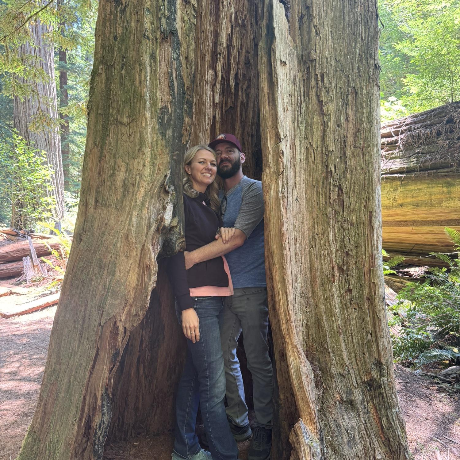 Visit to the Redwoods!