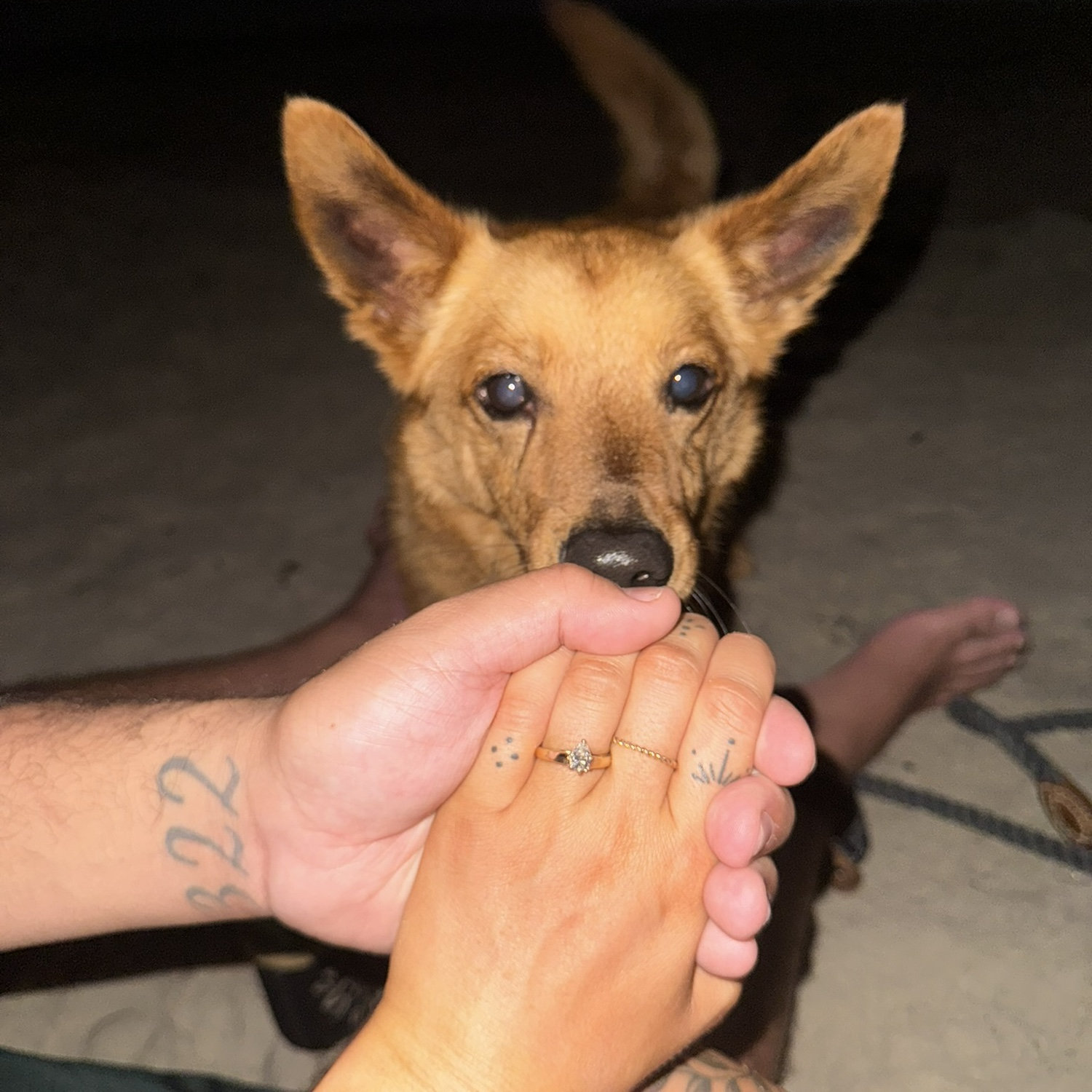ENGAGED!