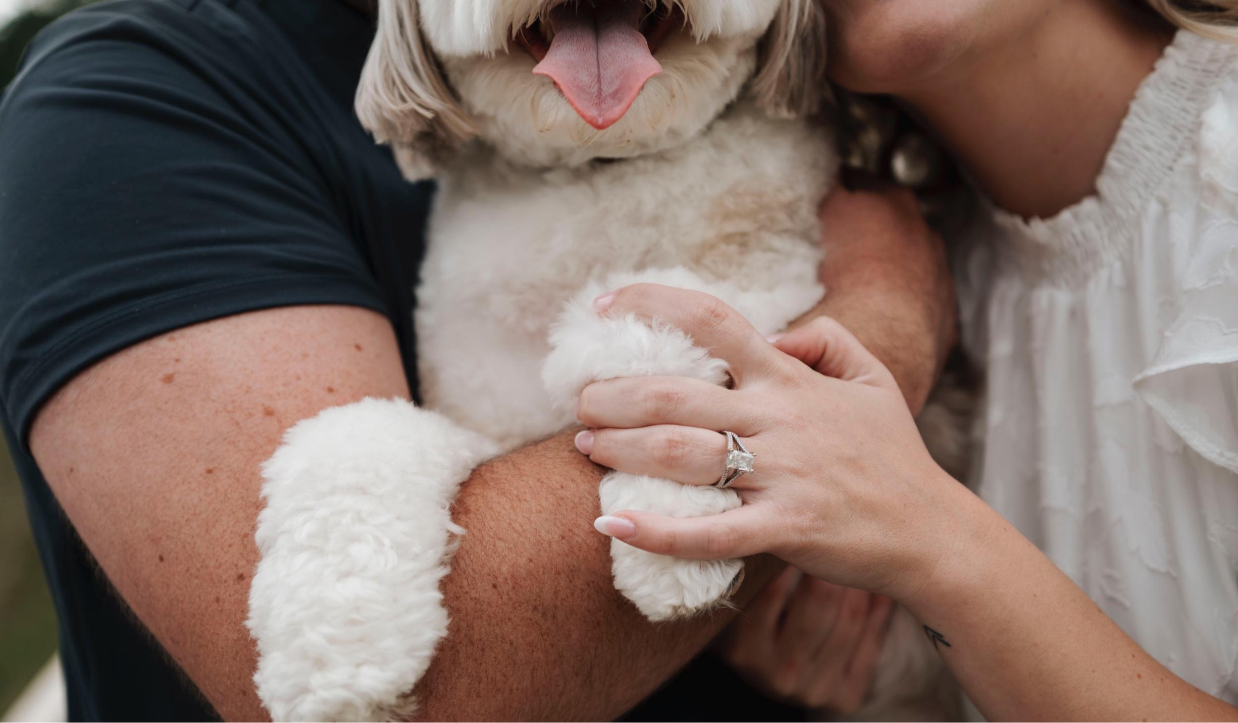 bd8dfdf1-c77d-4a42-a1d2-74dc6b495de9