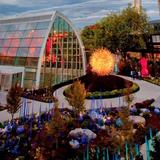 Chihuly Garden and Glass