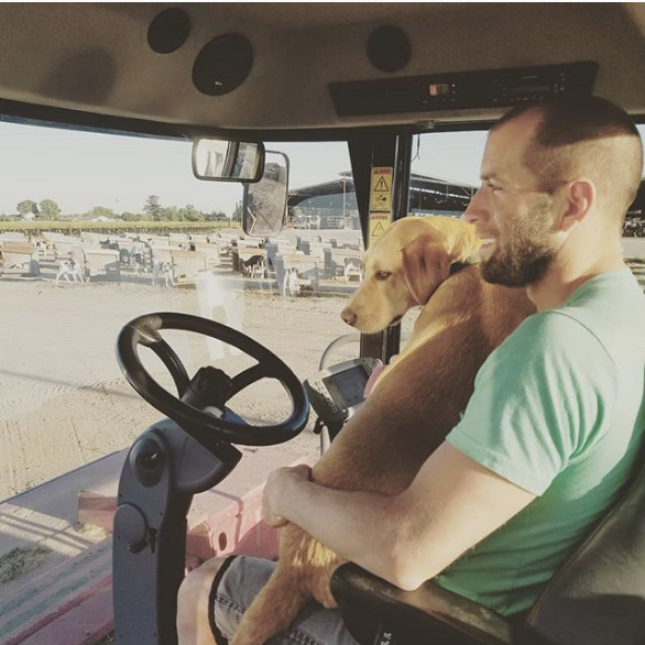 Farm life.