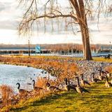 Onondaga Lake Park