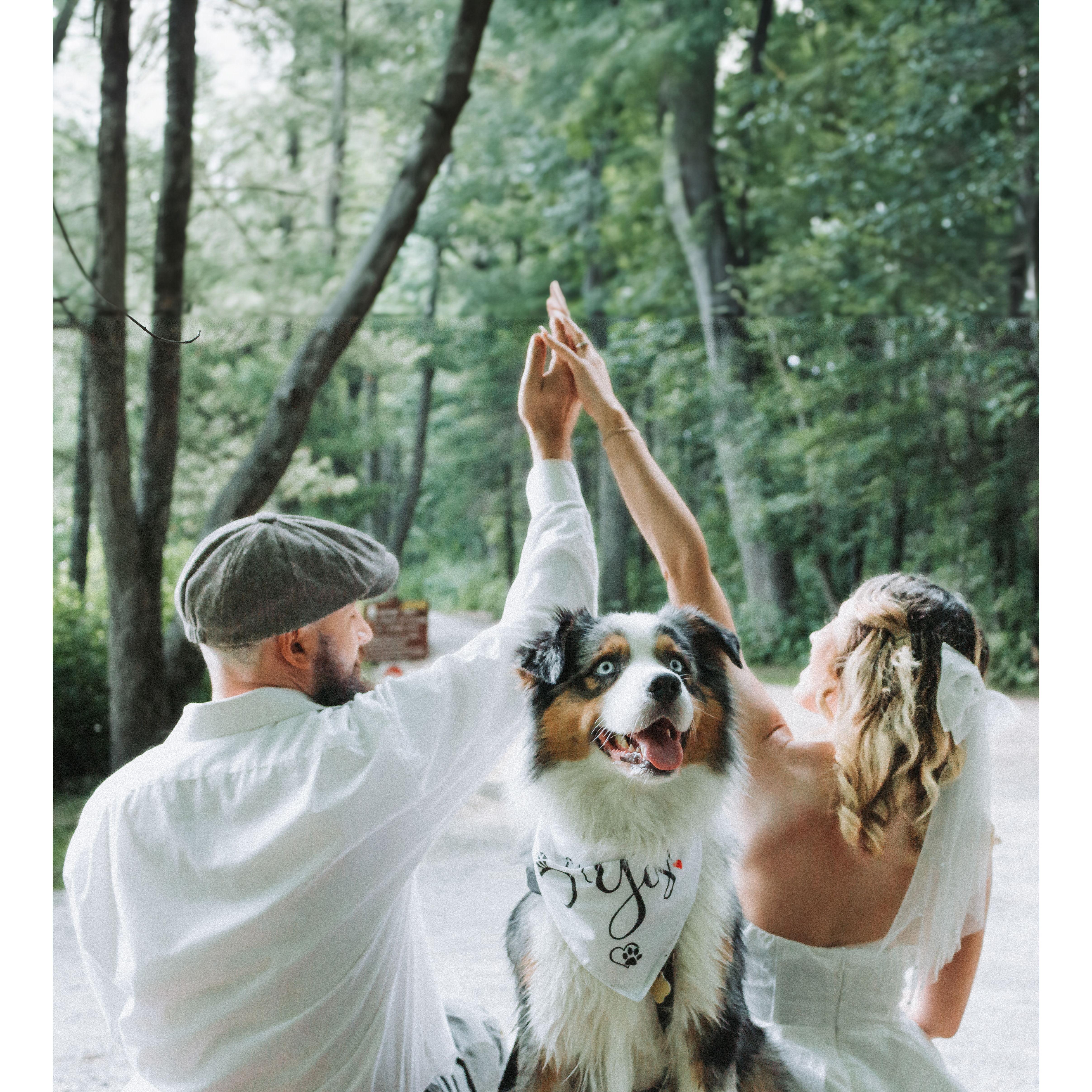 A sure winner of the photo session with Abu!