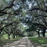 Boone Hall Plantation & Gardens