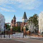 Toomer's Oaks