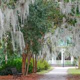 Hampton Park