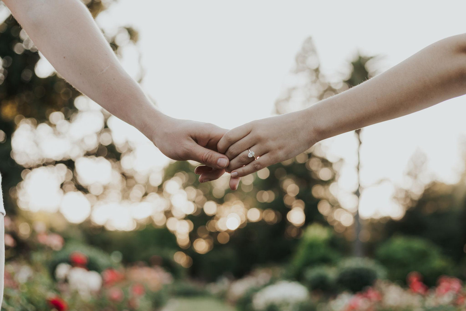 The Wedding Website of Luke Moreno and Ashley Wyant