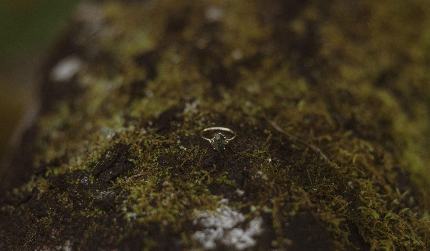 Footer image