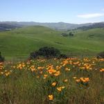Helen Putnam Regional Park