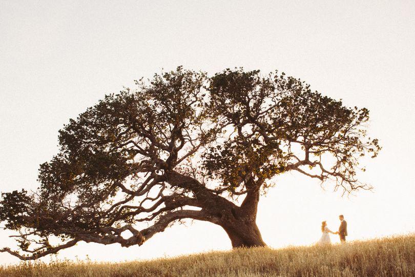 The Wedding Website of Brandi Arrigo and Sean Moody