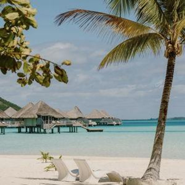 Honeymoon Fund
