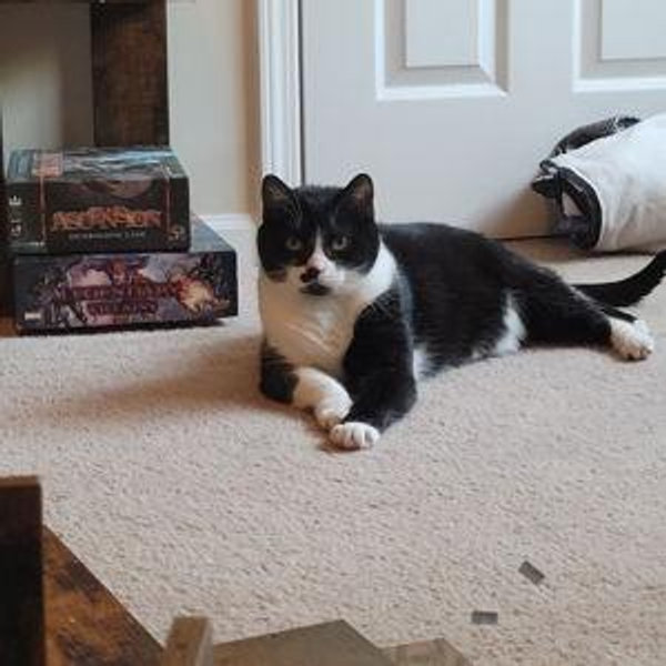 Nemesis's Judgements