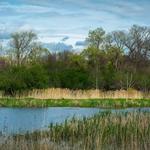 Montezuma National Wildlife Refuge