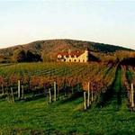 Horton Vineyards