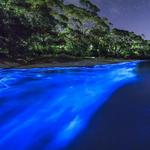 Bahía Bioluminiscente