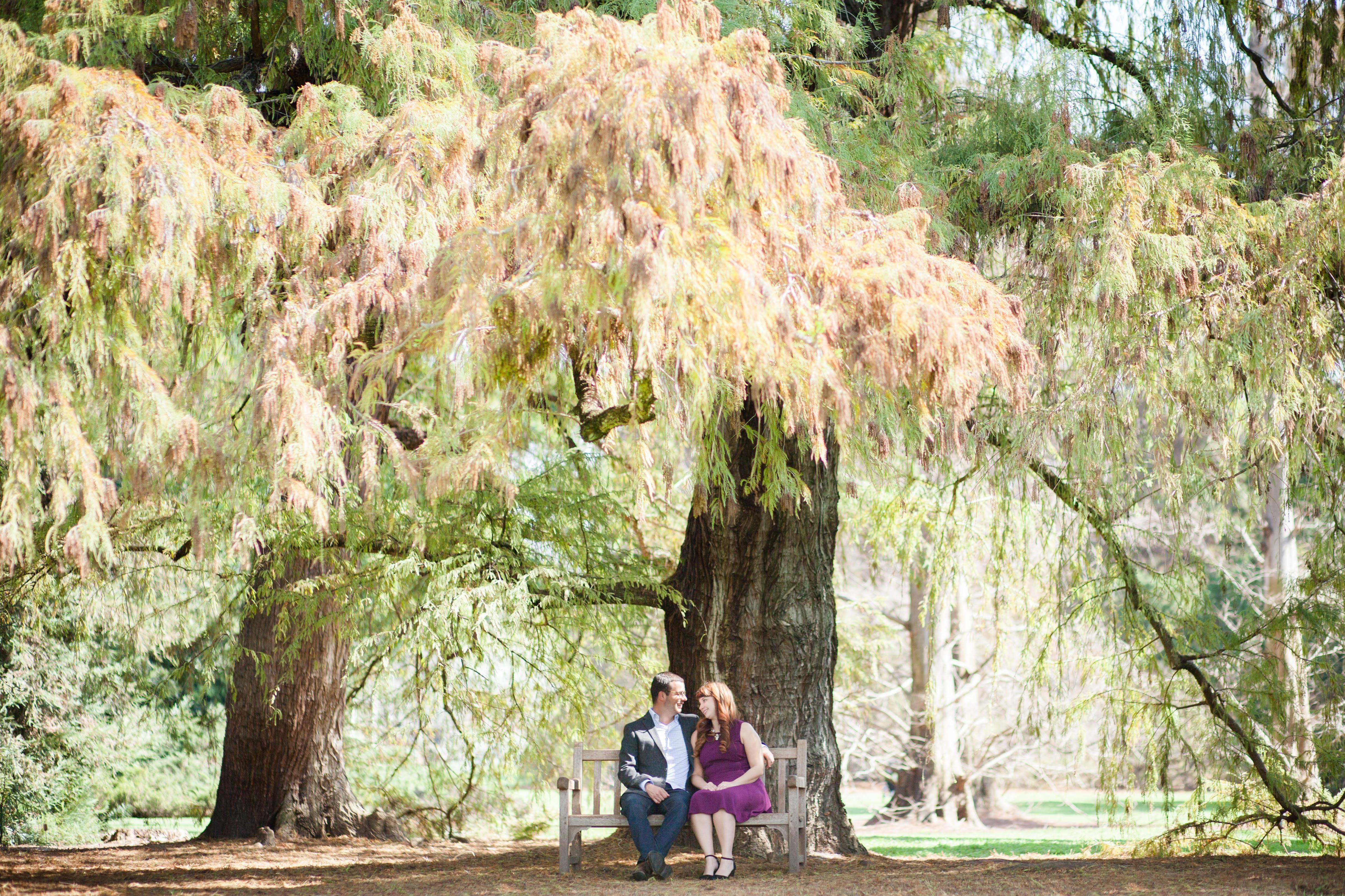 The Wedding Website of Alyssa Galella and Daniel Aguiar