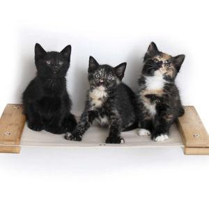 Hanging Cat Bed Hammock - Natural Bamboo Finish