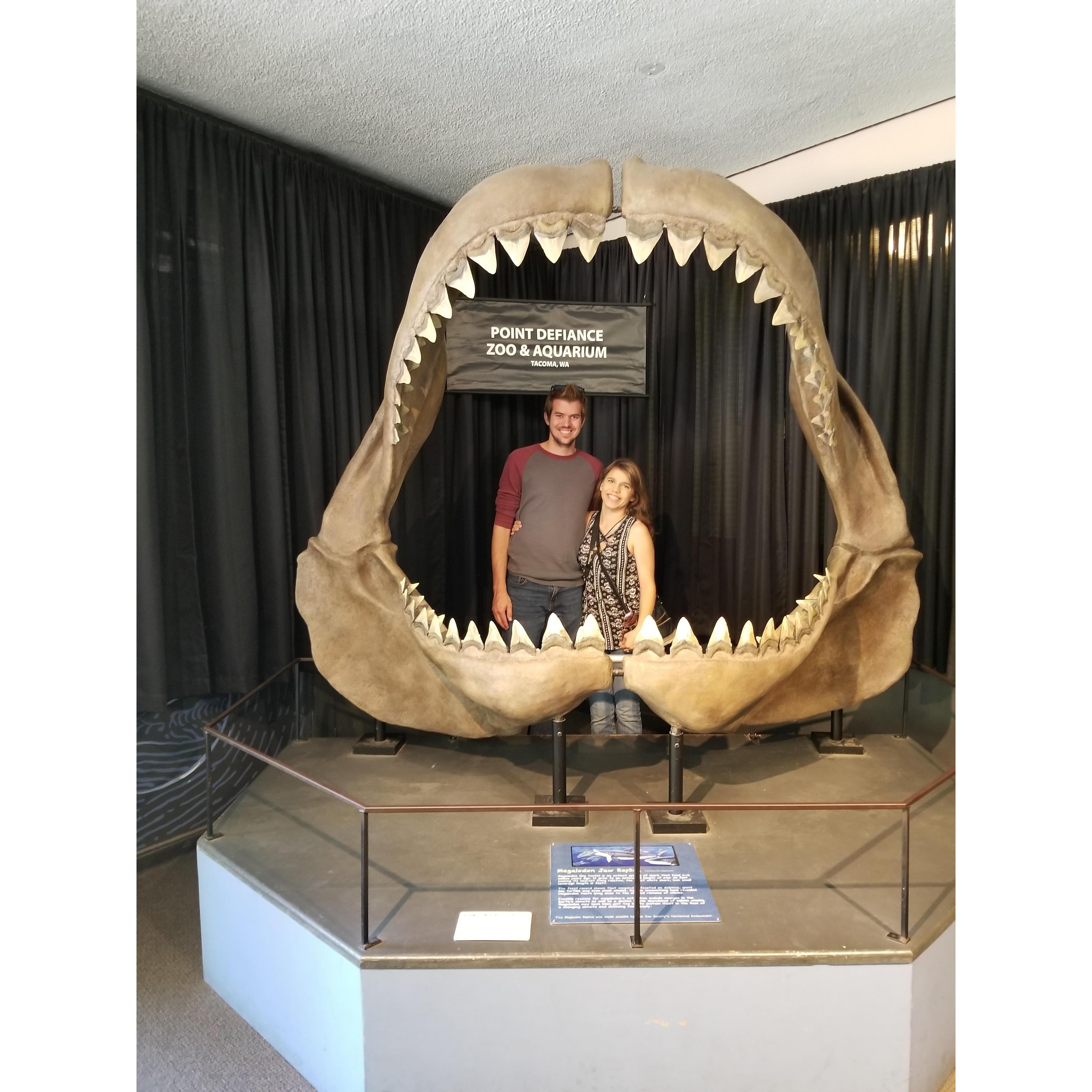 Our visit to the Point Defiance Zoo in Tacoma, Washington. August 2017