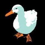 White Duck Taco Shop