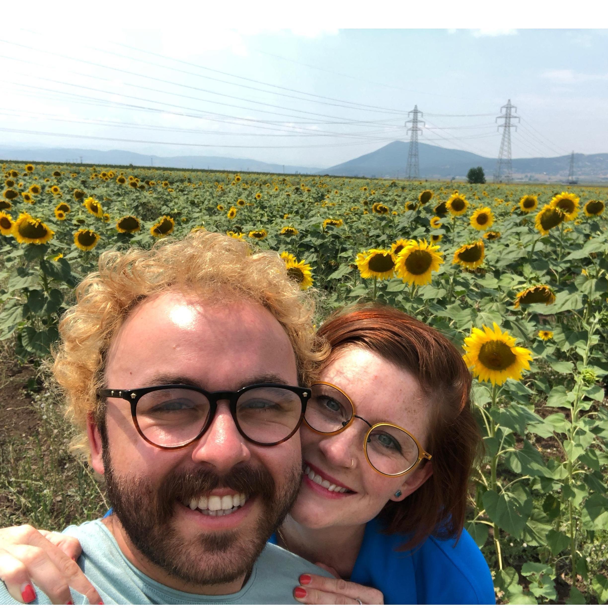 Sunflower fields on our way to Meteora.
