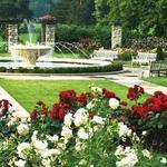 Loose Park Rose Garden