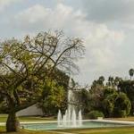 The Arboretum