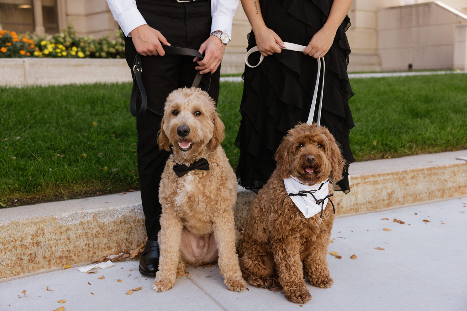 The Wedding Website of Kreyton King and Isabel Dragoo
