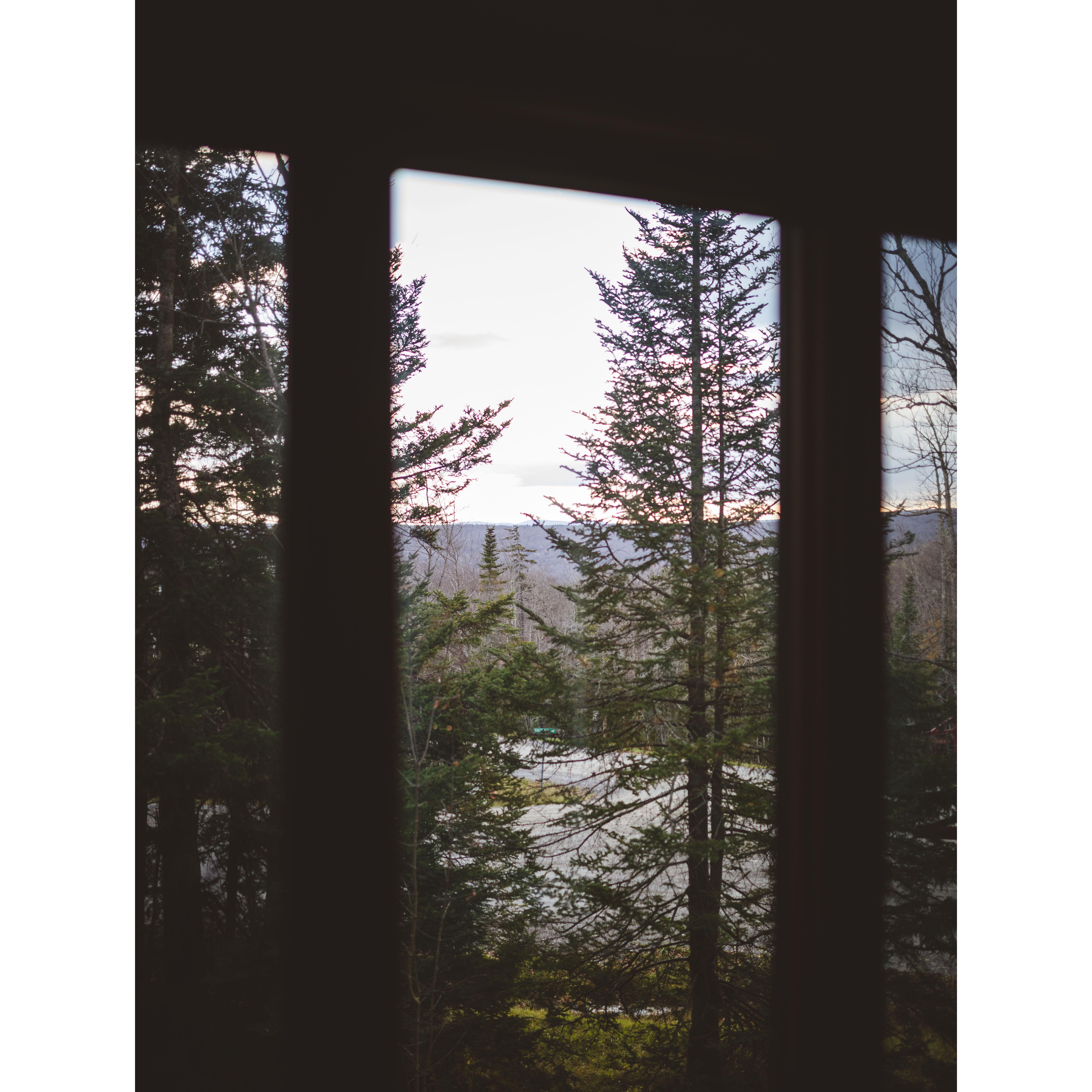 View from airbnb we got engaged in - Peru, VT October 2023