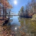 Blue Heron - Kingfisher Trail