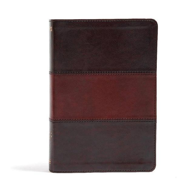 NIV Rainbow Study Bible, Saddle Brown LeatherTouch